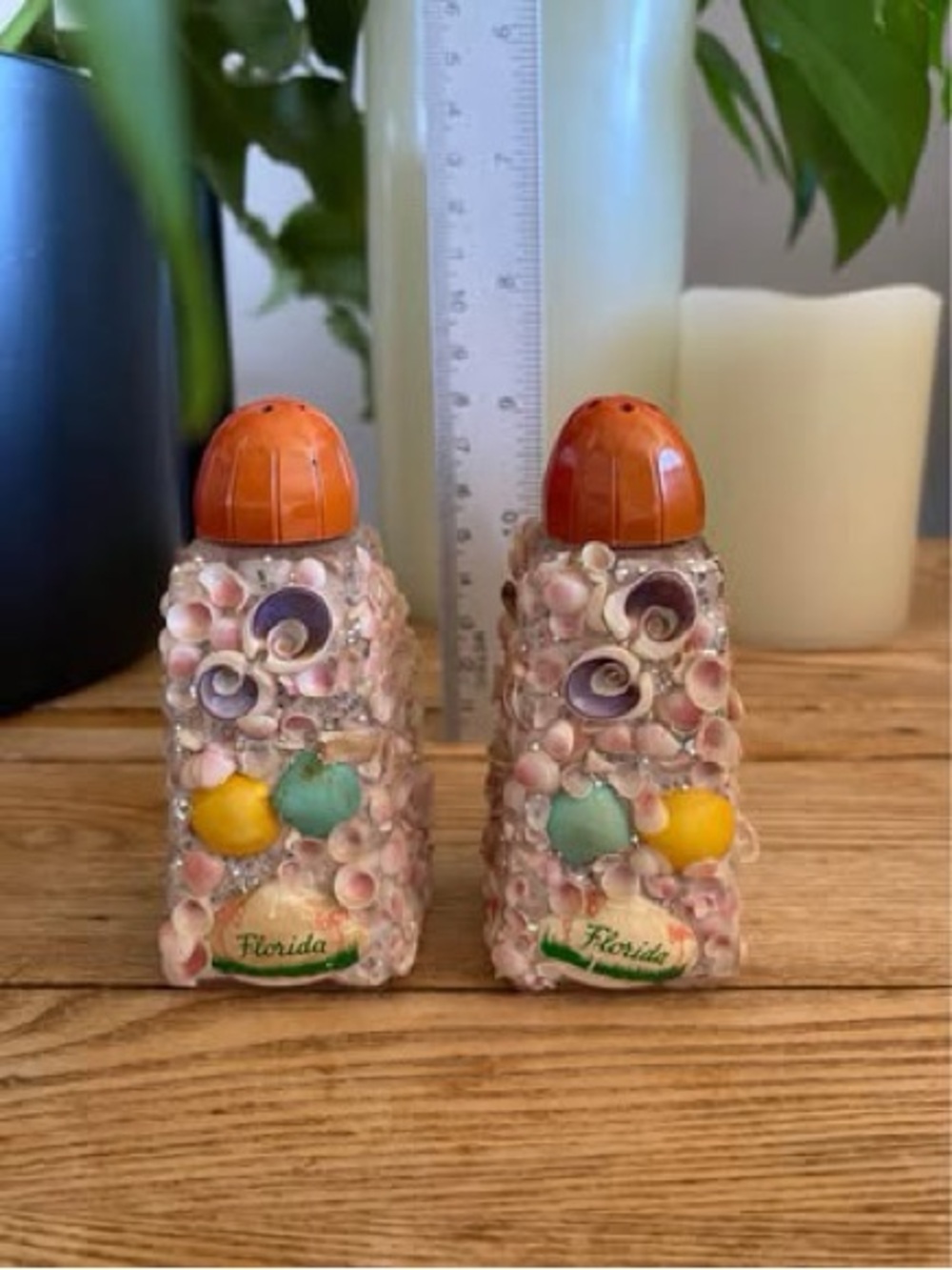 Vintage Mid-Century Florida Souvenir Seashell Salt & Pepper Shakers Set